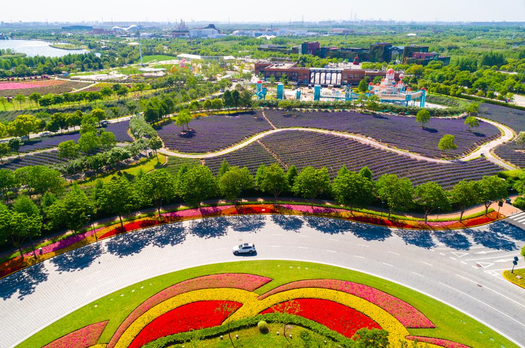 上海全力打造入境旅游第一站，扩建国际旅游度假区核心区