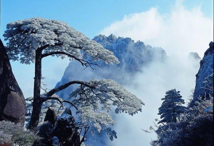 有游客在黄山风景区旅游时失联，官方通报：搜寻工作仍在进行