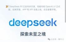 DeepSeek接入潮汹涌：适配商忙坏，大厂或赔惨？