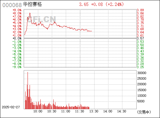 华控赛格（000068）股民索赔分析